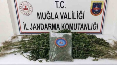 Muğla İl Jandarma Komutanlığı ekipleri, Temmuz ayı içerisinde uyuşturucuyla mücadele