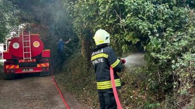 Menteşe ilçesine bağlı Muğla’da çıkan ot yangını, hızlı müdahale sayesinde
