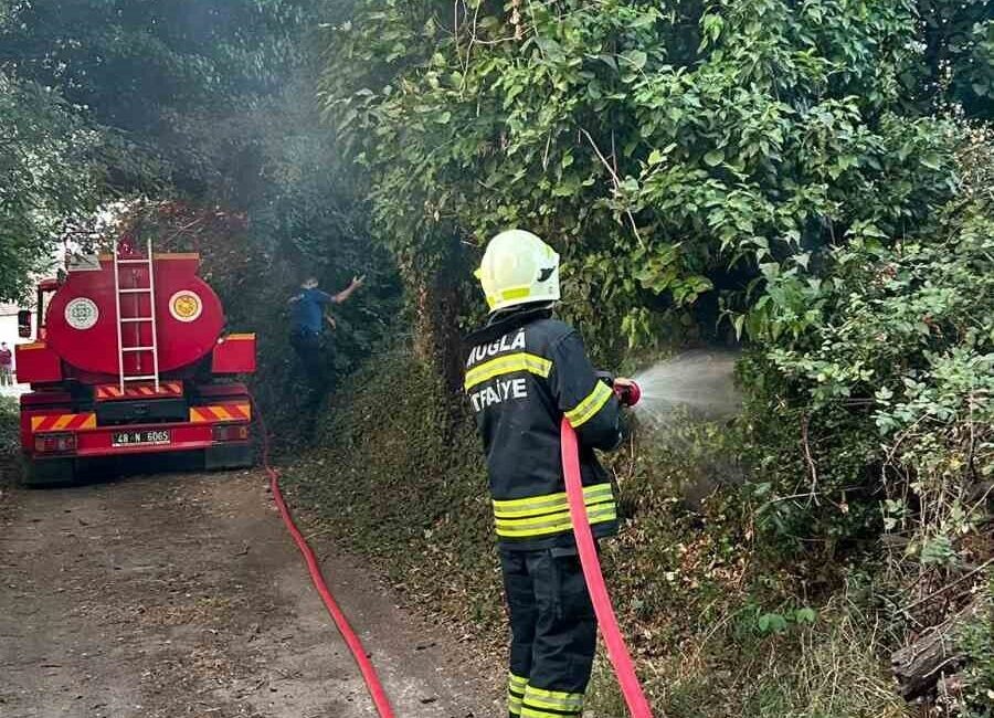 Menteşe ilçesine bağlı Muğla’da çıkan ot yangını, hızlı müdahale sayesinde
