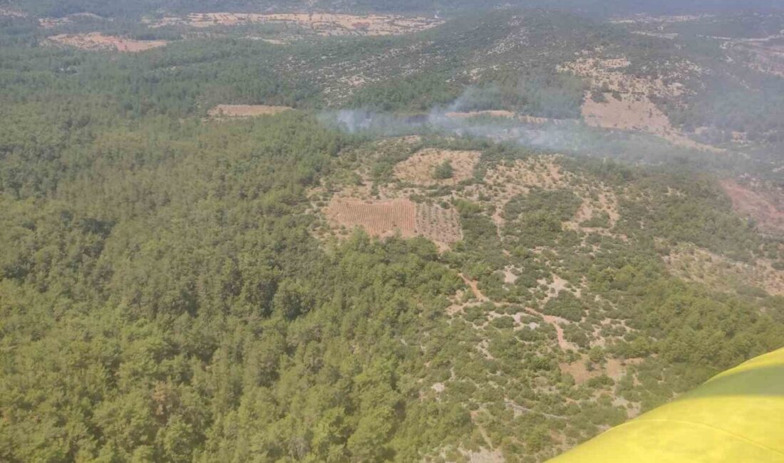 Menteşe ilçesindeki ormanlık alanda çıkan yangın, havadan ve karadan yapılan