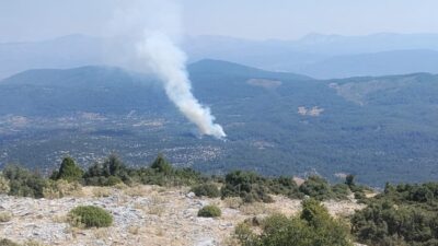 Muğla’nın Menteşe ilçesindeki makilik ve ormanlık alanda başlayan yangının kontrol