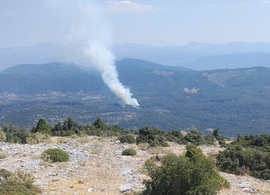 Muğla’nın Menteşe ilçesindeki makilik ve ormanlık alanda başlayan yangının kontrol