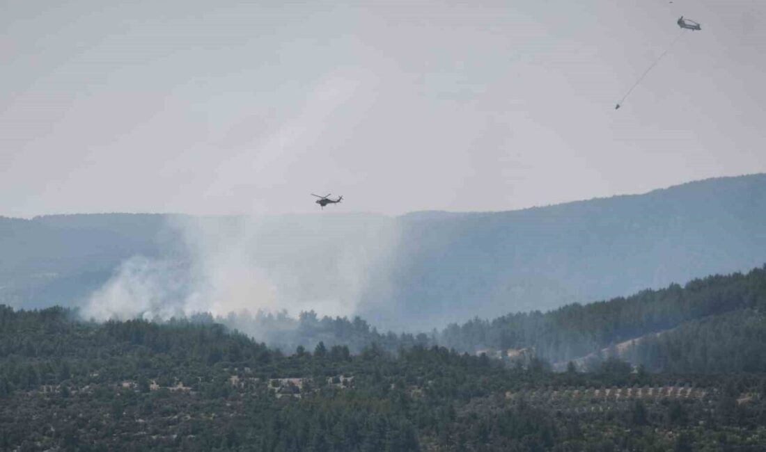 Muğla’nın Menteşe ilçesinde ormanlık alanda çıkan yangın, halen nedeni belirlenemeyen