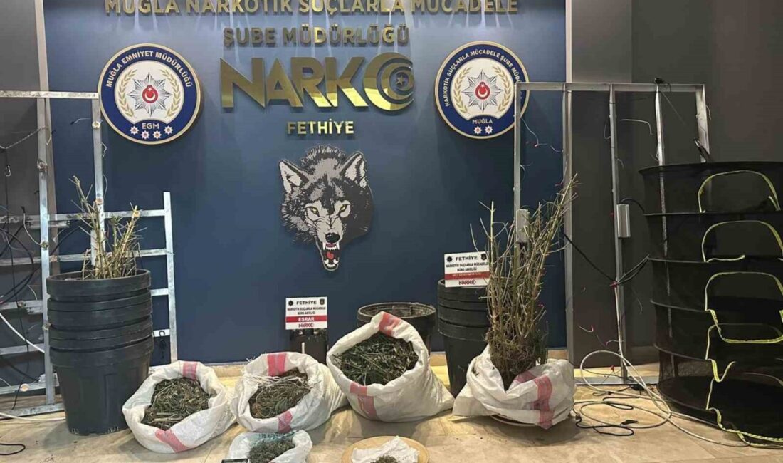 Muğla Emniyet Müdürlüğü Narkotik Suçlarla Mücadele Şube Müdürlüğü ekipleri, Temmuz