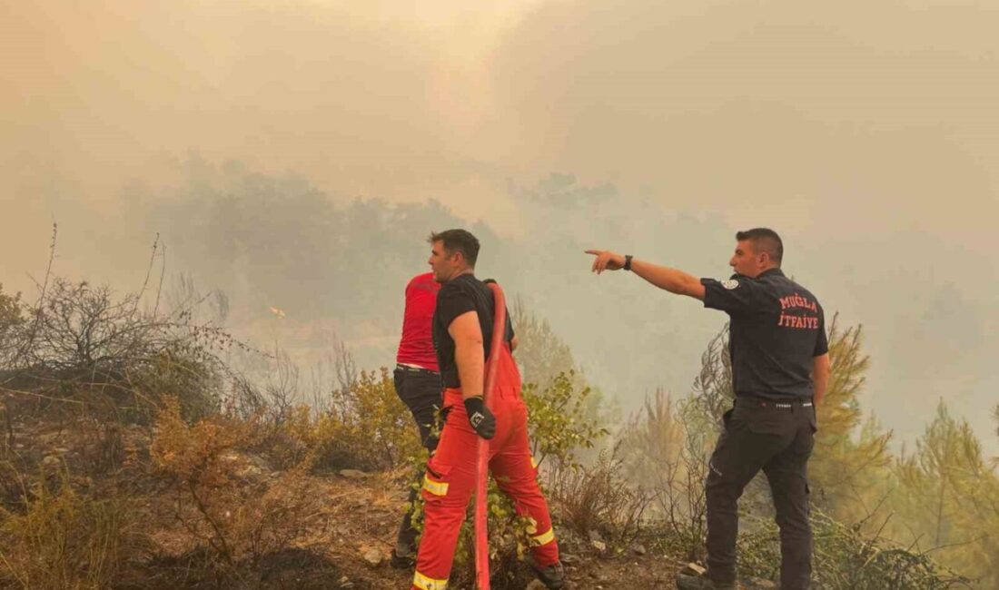 Muğla Büyükşehir Belediyesi İtfaiyesi Daire Başkanlığı raporlarına göre, 2026 yılının