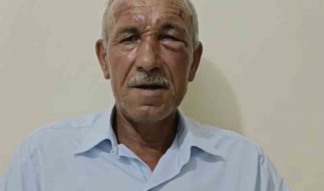 Mersin’in Çamlıyayla ilçesinde bir muhtar, bir saldırı sonucu yaralandı ve