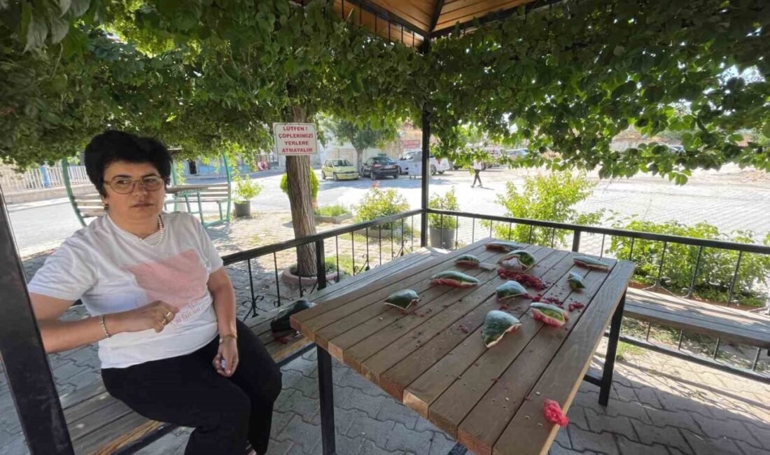 Karaman’da Sekiçeşme Mahallesi Muhtarı Raziye Ünlü, muhtarlık ofisinin önündeki kamelyada