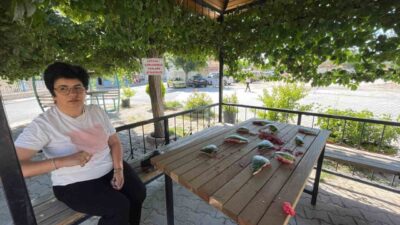 Karaman’da Sekiçeşme Mahallesi Muhtarı Raziye Ünlü, muhtarlık ofisinin önündeki kamelyada
