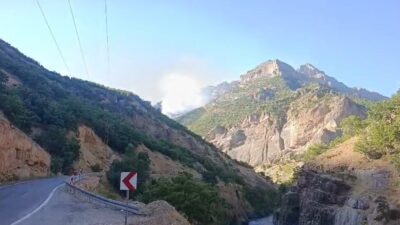 Tunceli’nin Munzur Vadisi Milli Parkı’nda çıkan örtü altı yangınına karşı
