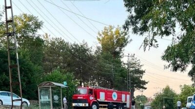 Muratlı ilçesinde, otobüs durağına oldukça yakın bir ağaçlık alanda çıkan