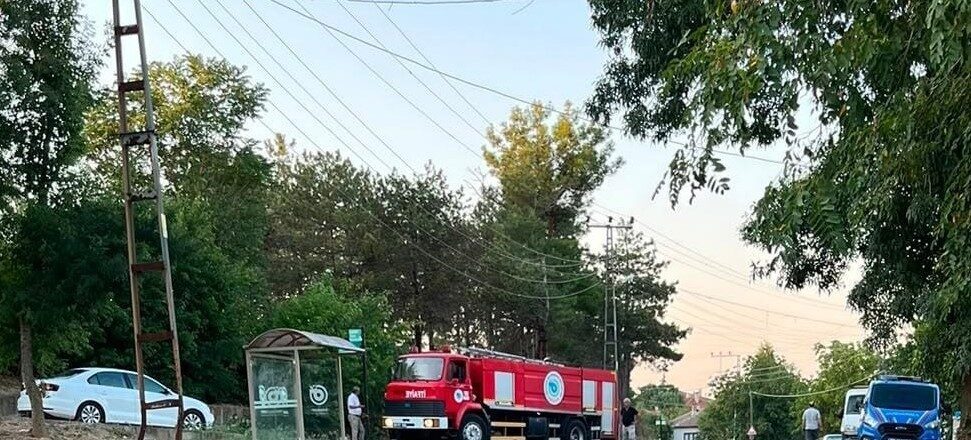 Muratlı ilçesinde, otobüs durağına oldukça yakın bir ağaçlık alanda çıkan