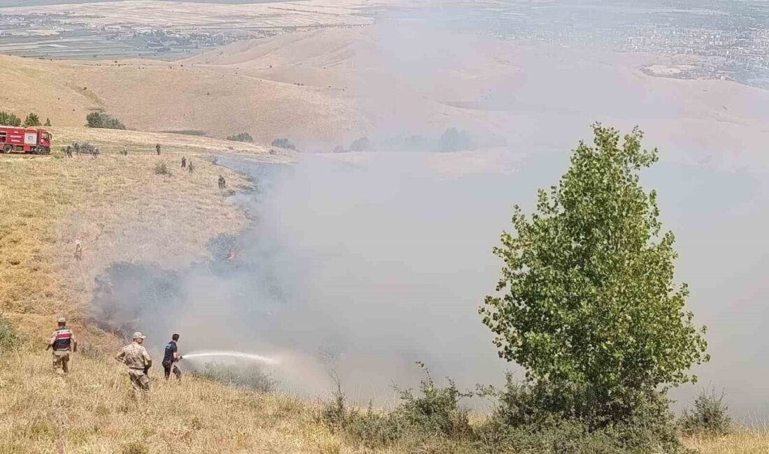 Muş’un Karlıdere köyünde meydana gelen örtü yangını, hızlı bir şekilde