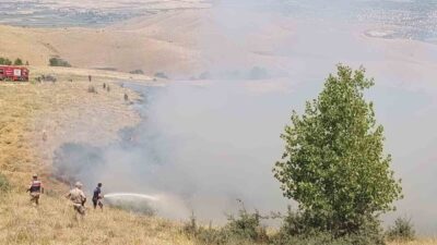 Muş’un Karlıdere köyünde meydana gelen örtü yangını, hızlı bir şekilde
