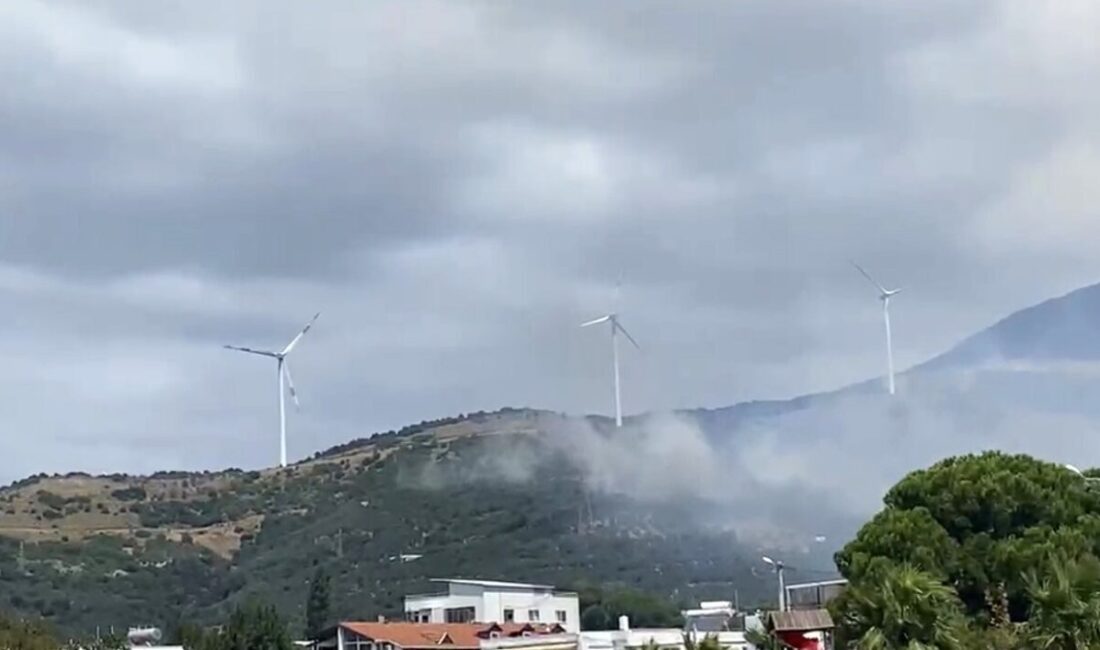 Balıkesir’in Erdek ilçesine bağlı Narlı Mahallesi’nde çıkan orman yangınına, ekiplerin