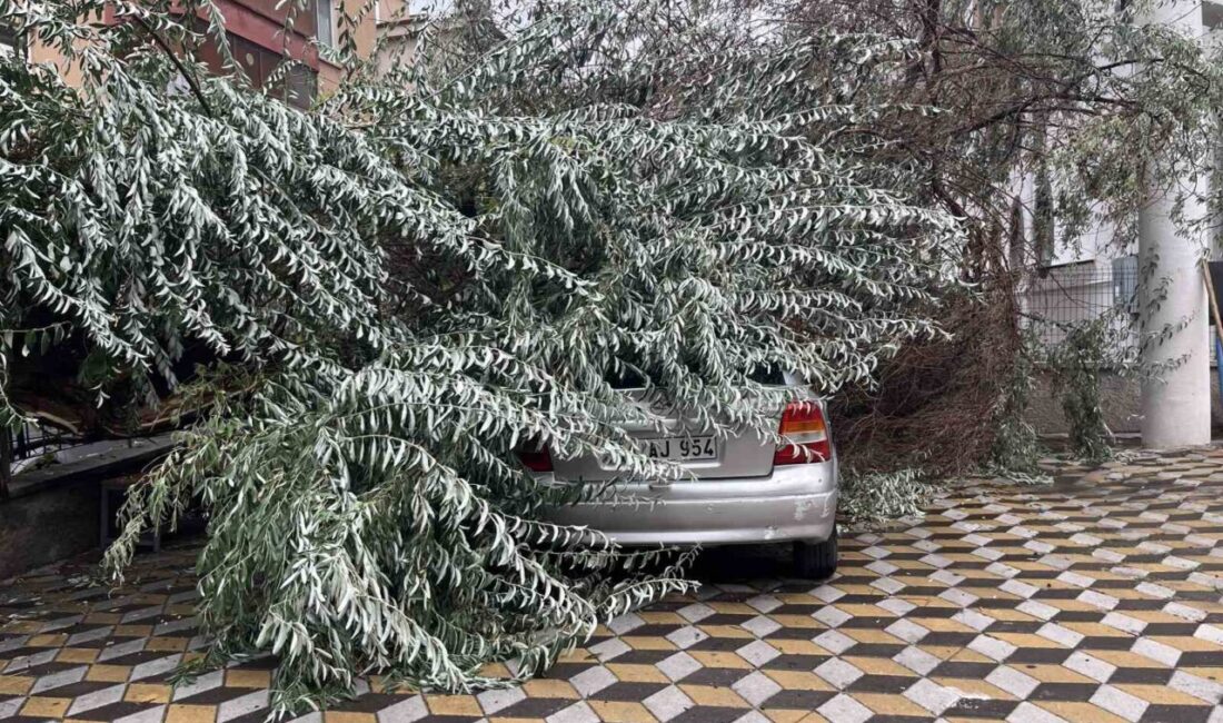 Niğde’de etkili olan şiddetli yağış ve rüzgarın yol açtığı doğa