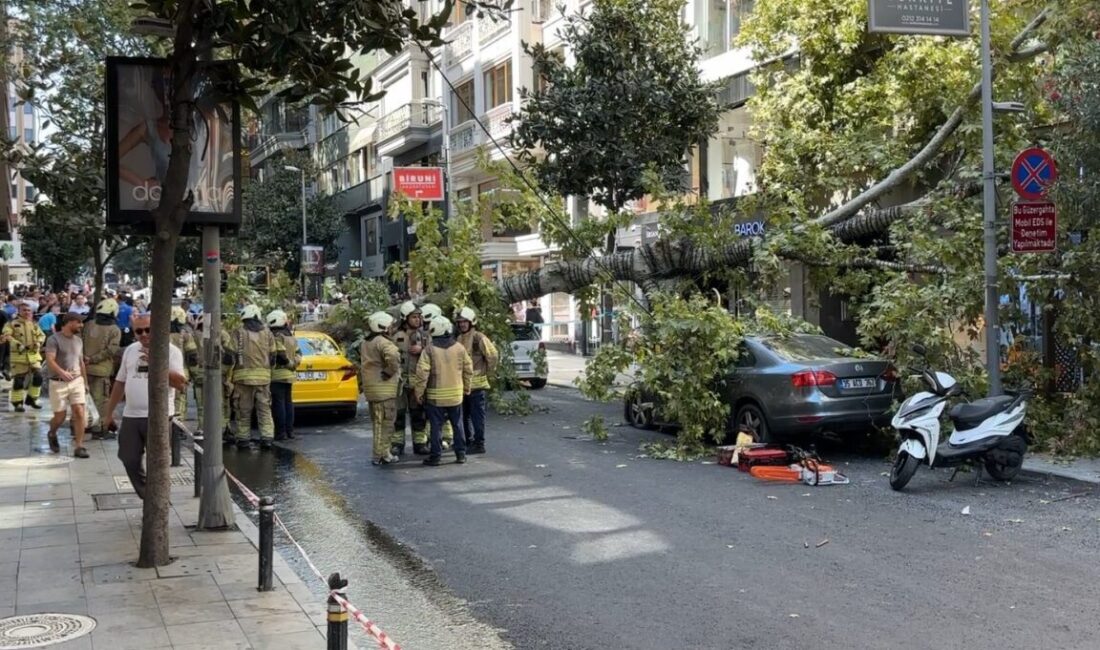 Şişli ilçesinde, köklerinden devrilen bir çınar ağacı, bir ticari taksiyi
