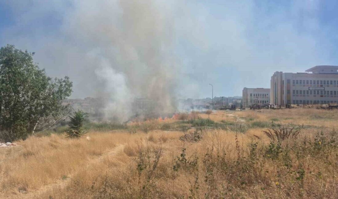 Eskişehir’deki bir okul ile sağlık ocağı arasındaki boş arazide çıkan