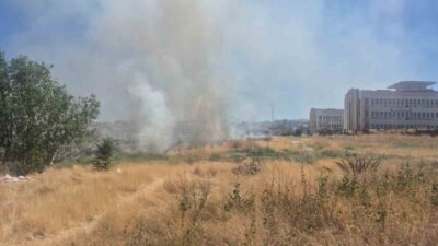 Eskişehir’deki bir okul ile sağlık ocağı arasındaki boş arazide çıkan