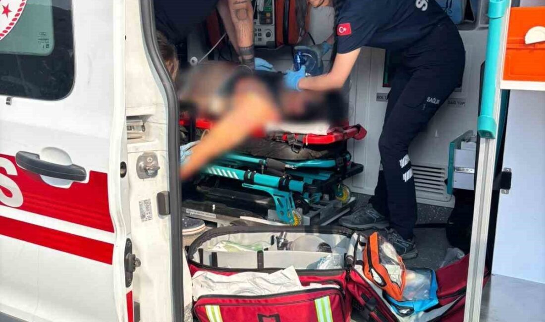 Muğla’nın Milas ilçesinde, Koru Mahallesi yolunda meydana gelen bir kaza