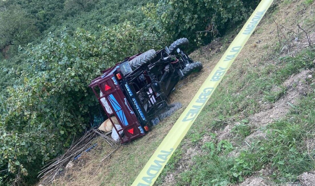 Ordu’nun Gölköy ilçesinde meydana gelen trafik kazasında 44 yaşındaki Nursel