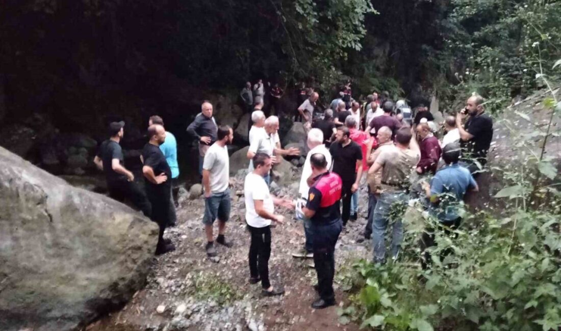 Çamaş ilçesindeki Sarıyakup Mahallesi Domşu Küme Evleri mevkisinde yaşanan acı