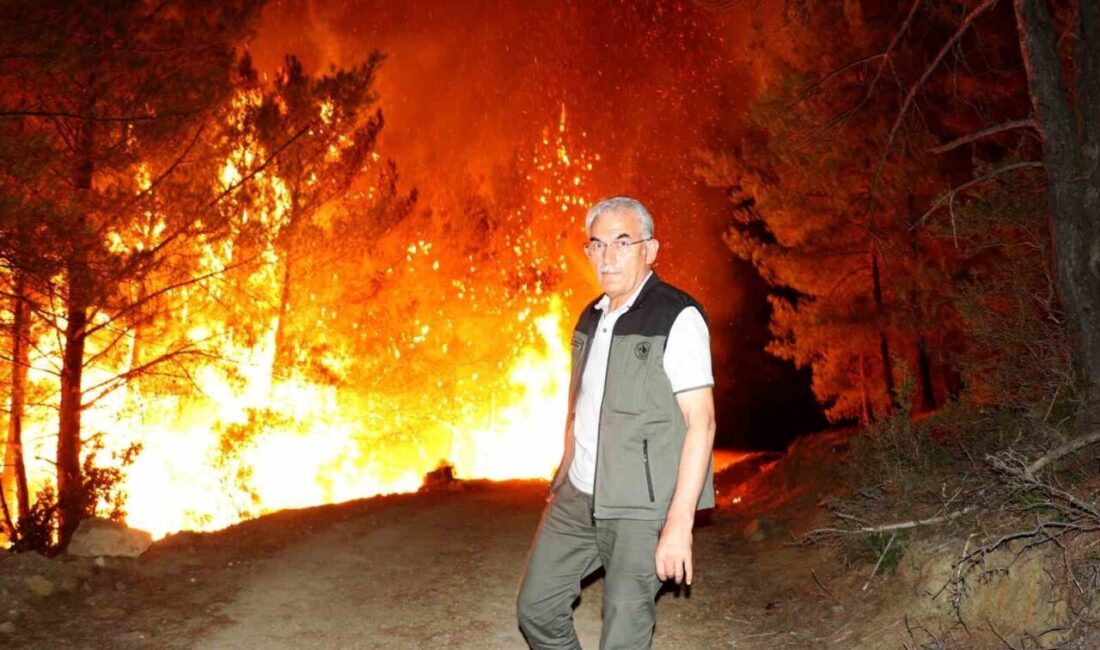 Orman Genel Müdürü Bekir Karacabey, Muğla’daki orman yangınlarıyla ilgili çalışmalara