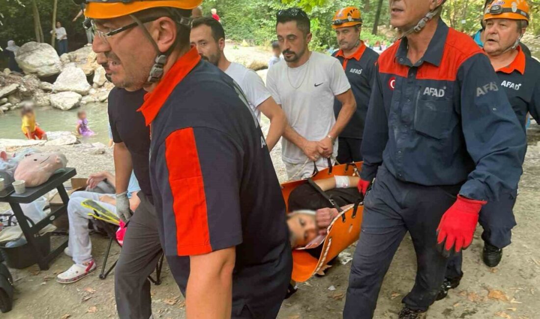 Bursa’nın Nilüfer ilçesinde, ormanlık alanda yürüyüş yapmakta olan bir kişi,