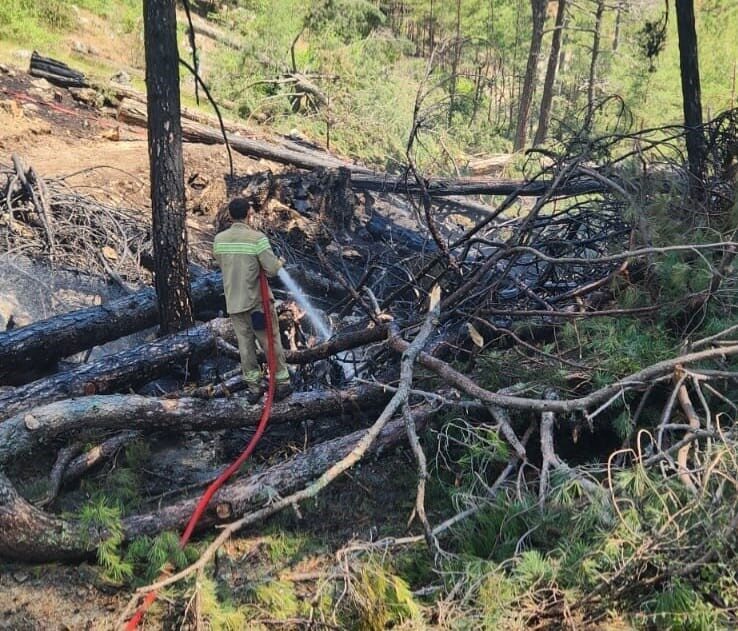 Muğla’nın Ula ilçesine bağlı Yaylasöğüt Mahallesi Tokuş mevkiinde ormanlık alanda