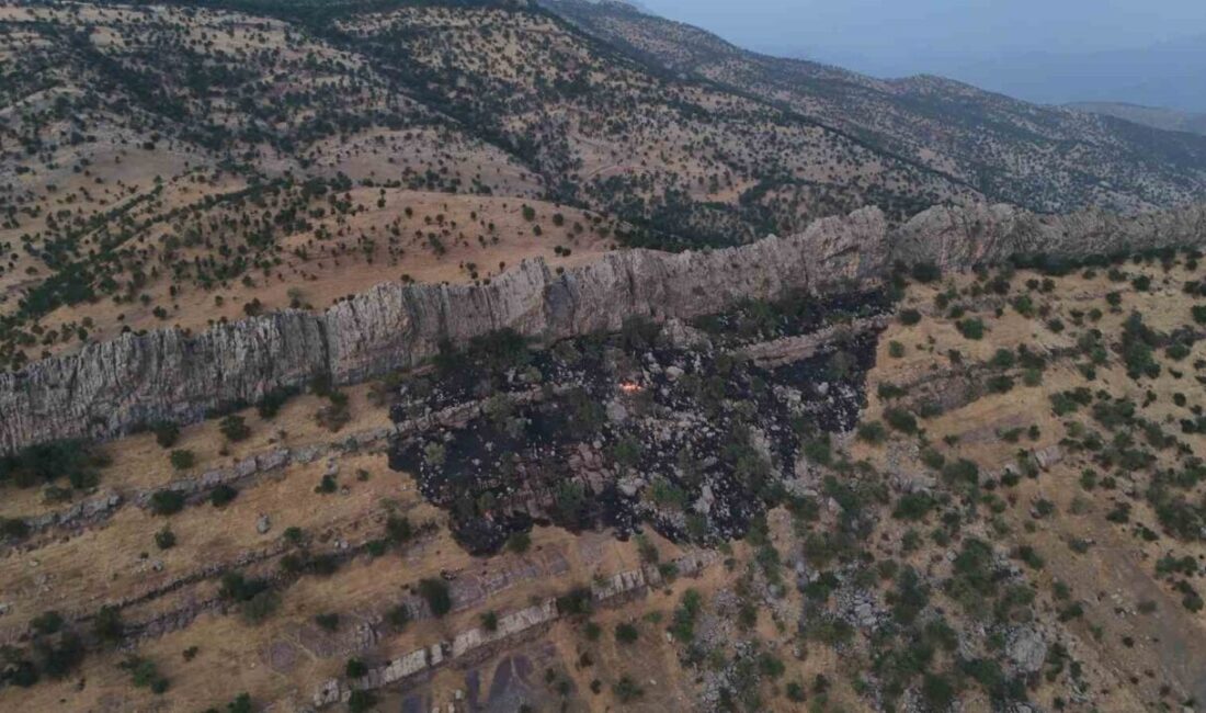 Hakkari ilinde, bilinmeyen bir sebepten dolayı ormanlık alanda çıkan yangın,