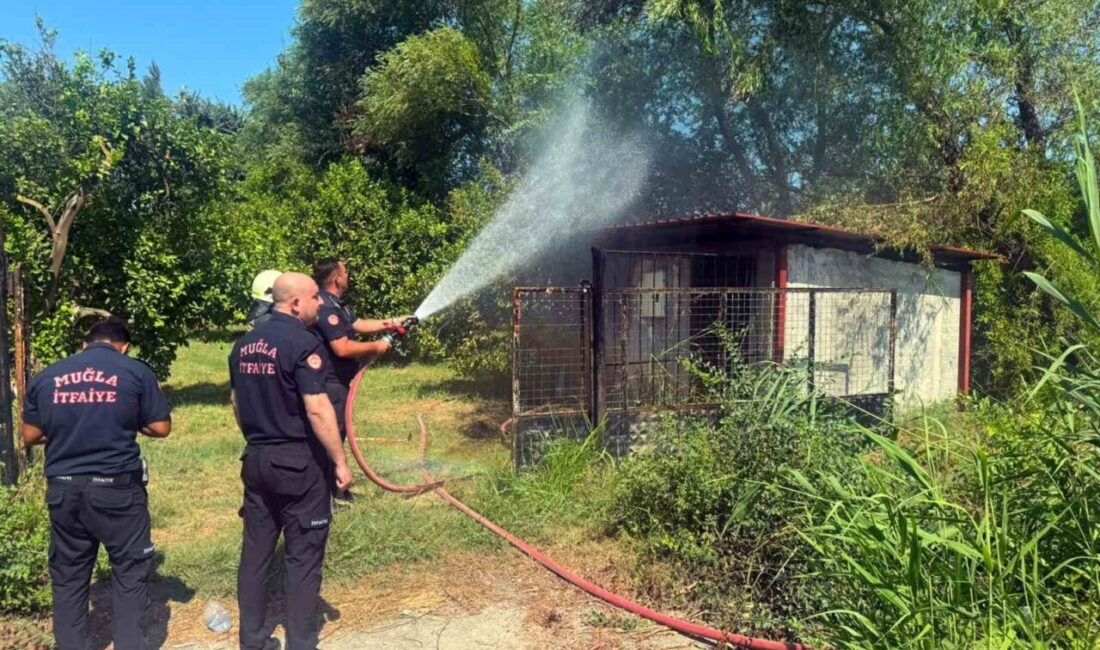Muğla’nın Ortaca ilçesinde, küçük bir ahşap kulübenin etrafındaki çuvalların alev
