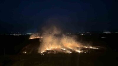 Osmaniye’de, Sakızgediği Köyü’nde otoyola yakın bir alanda hasat edilen mısır