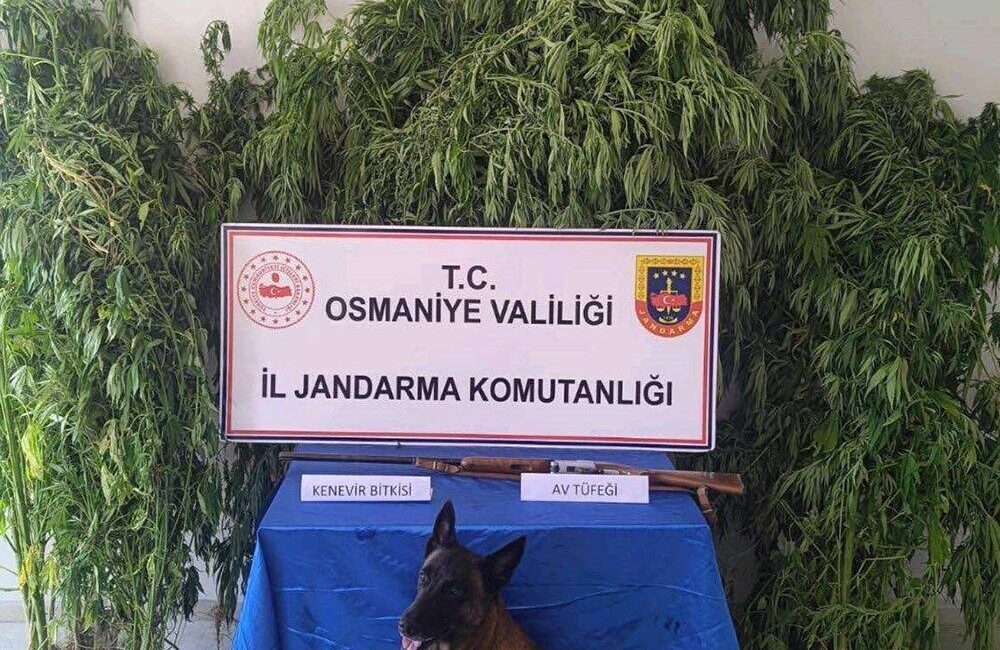 Jandarma ekipleri, Osmaniye’de gerçekleştirdikleri asayiş uygulamaları sonucunda son bir haftada