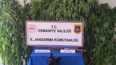 Jandarma ekipleri, Osmaniye’de gerçekleştirdikleri asayiş uygulamaları sonucunda son bir haftada