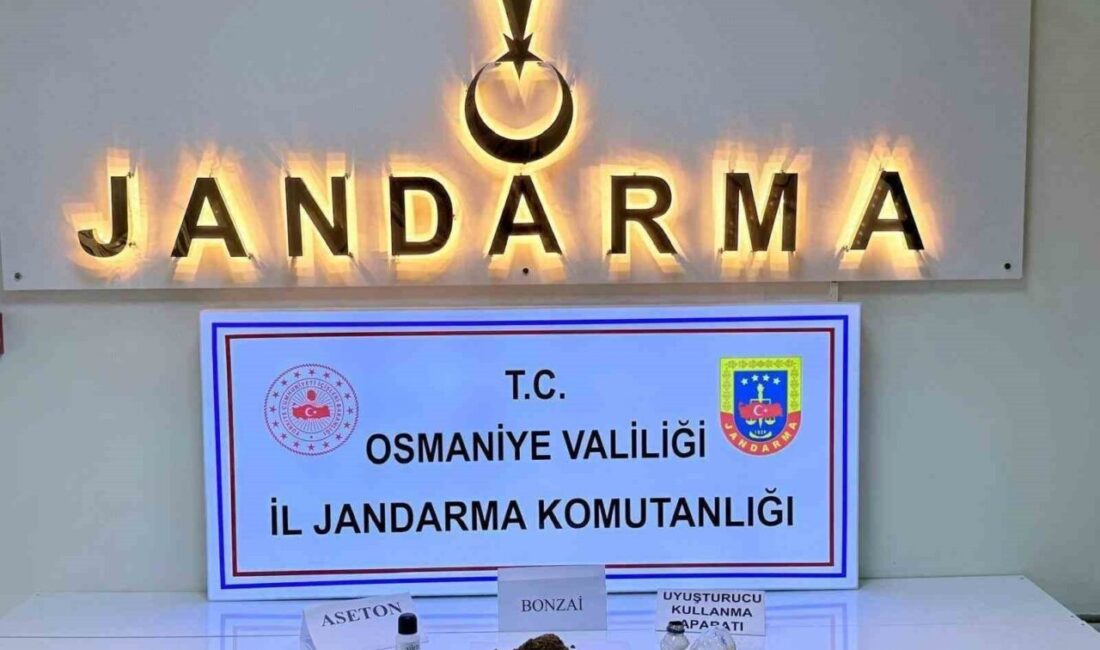 Jandarma ekipleri tarafından Osmaniye’de son bir haçta gerçekleştirilen operasyonlarda 2