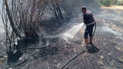 Şuhut ilçesindeki Balçıkhisar köyünde çıkan ot yangını, itfaiye ekiplerinin zamanında