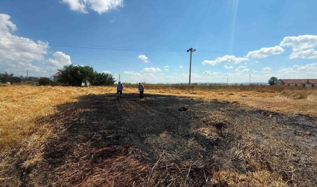 Bolu’nun Dörtdivan ilçesinde, Orman İşletme Binası’nın arka kısmındaki otluk alanda