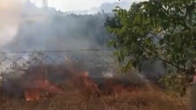 Eskişehir’de, otluk alanda başlayan ve bir bahçeye sıçrayan yangın sonucunda