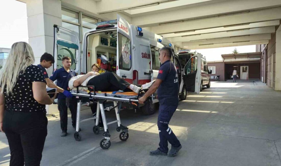 Adıyaman ilinde meydana gelen bir kaza sonucunda bir kişi yaralandı.