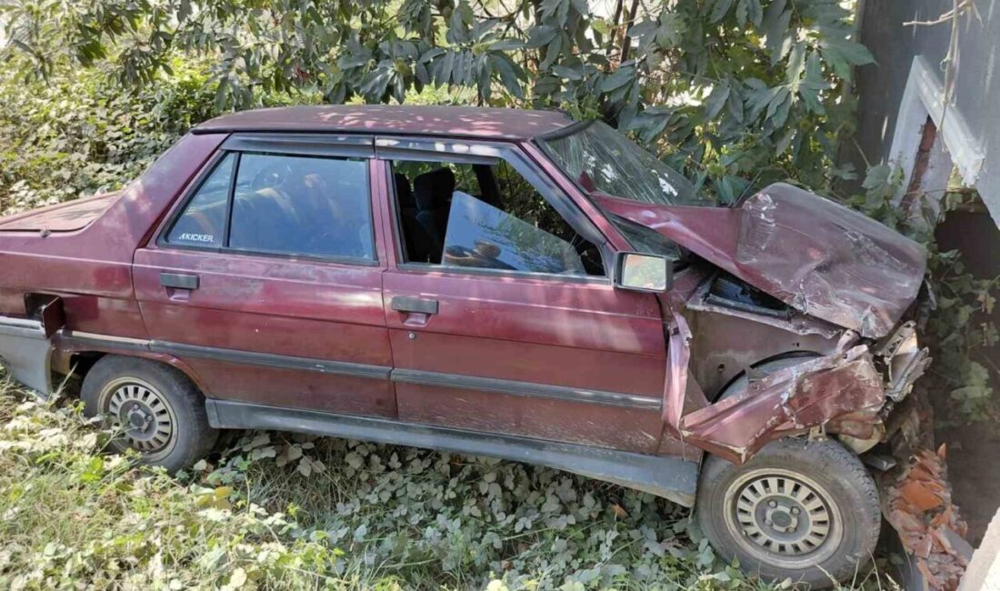 Alaplı ilçesinde meydana gelen trafik kazasında otomobilin boş kulübeye çarpması
