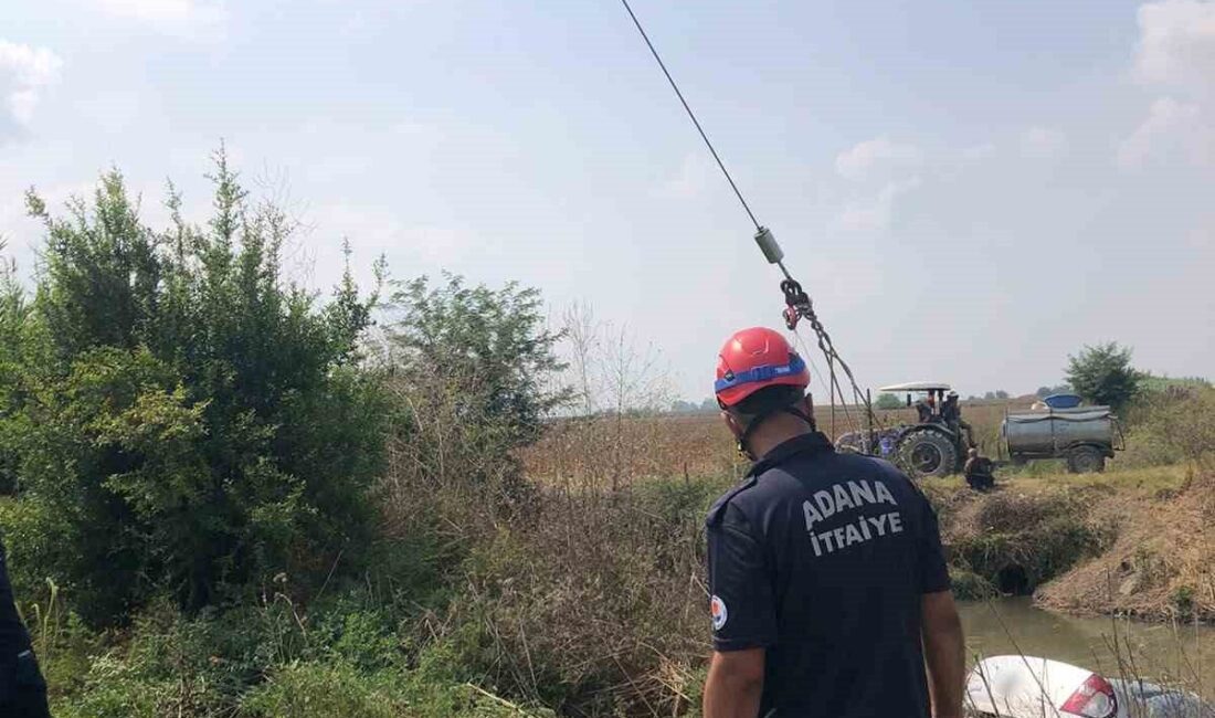 Ceyhan ilçesinde meydana gelen bir olayda, bir otomobil kontrolden çıkarak
