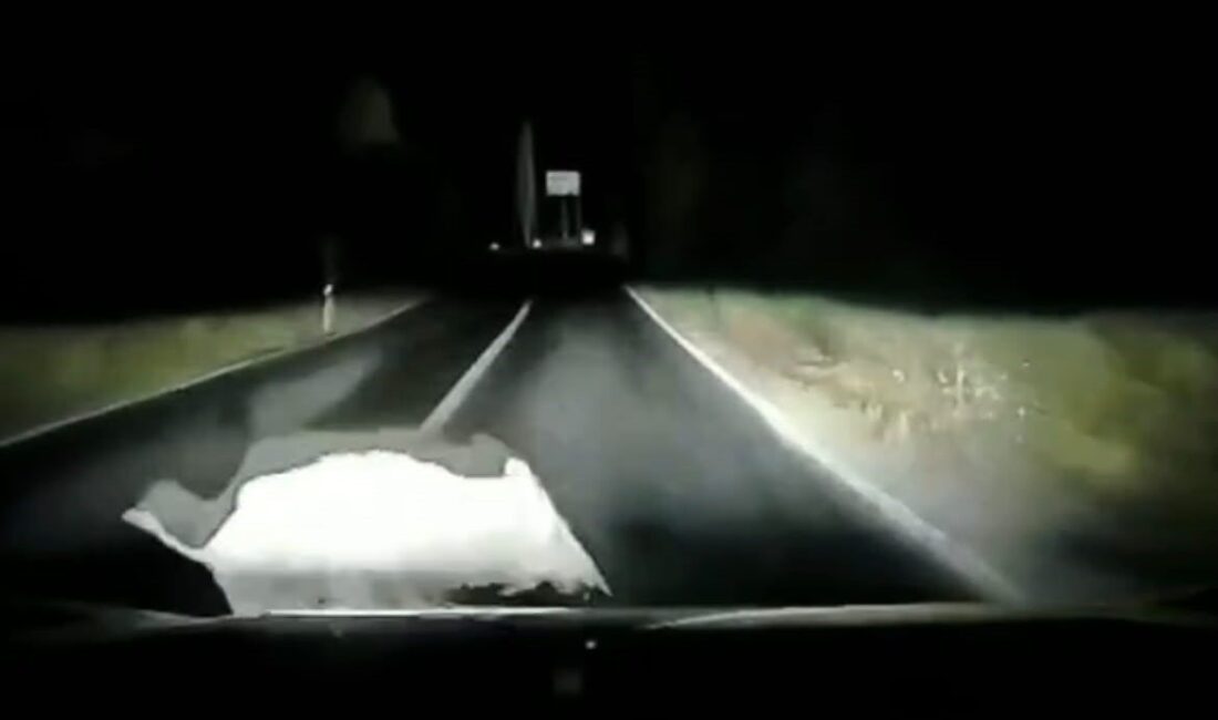 Orhangazi ilçesine bağlı İznik Güney yolu üzerinde, Sölöz Mahallesi yakınlarında