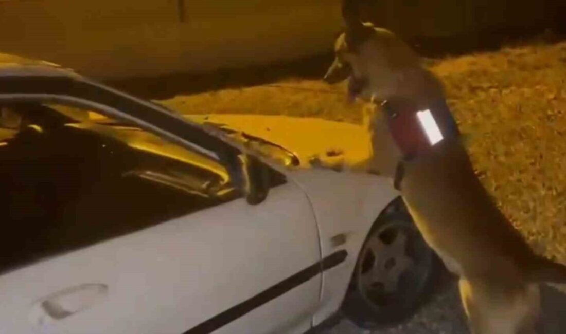 Bartın’da jandarma ekiplerinin gerçekleştirdiği şok yol kontrolü operasyonunda bir otomobilde