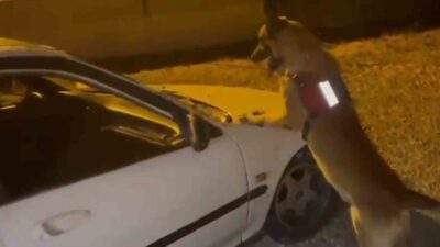 Bartın’da jandarma ekiplerinin gerçekleştirdiği şok yol kontrolü operasyonunda bir otomobilde