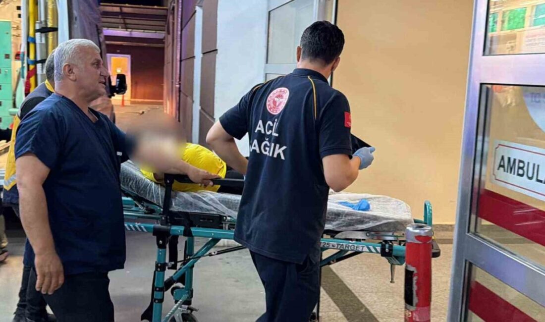 Adıyaman ilinde bir sürücünün kontrolünü kaybettiği aracın kaza yapması sonucu