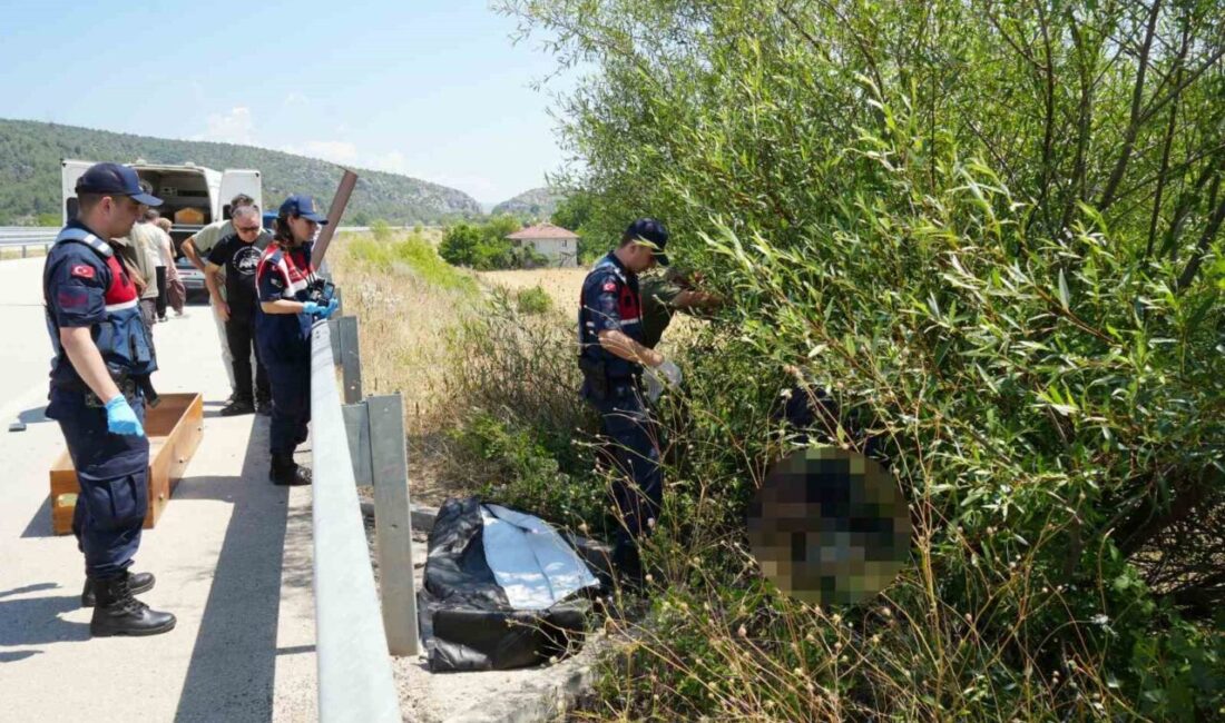 Araç ilçesinde meydana gelen üzücü bir olayda, otomobilin çarpıp kaçtığı