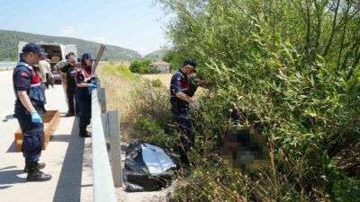 Araç ilçesinde meydana gelen üzücü bir olayda, otomobilin çarpıp kaçtığı
