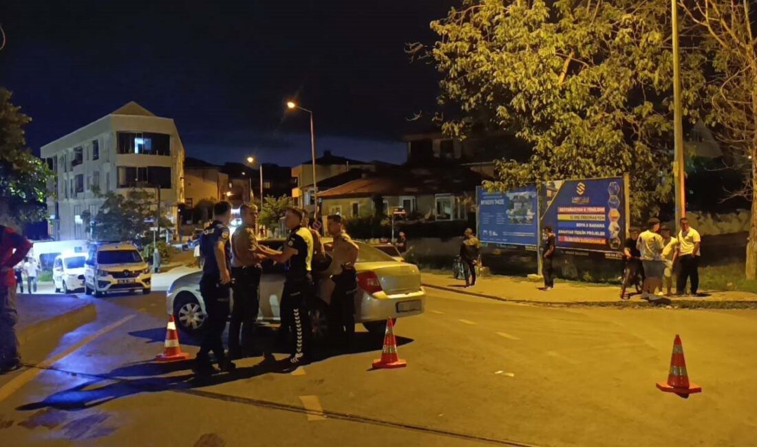 Sakarya’nın Hendek ilçesinde bir yaşlı kadın, yolun karşı tarafına geçmeye