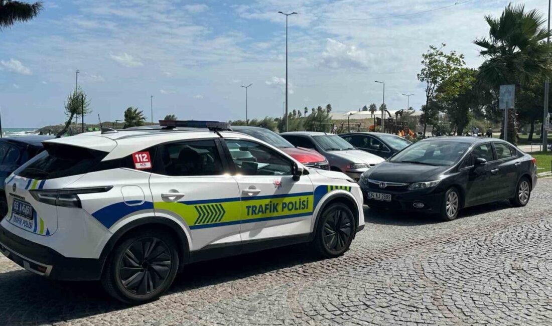 Samsun’da bir yayının otomobil çarpması sonucu yaralandığı bildirildi. Kaza, Denizevleri