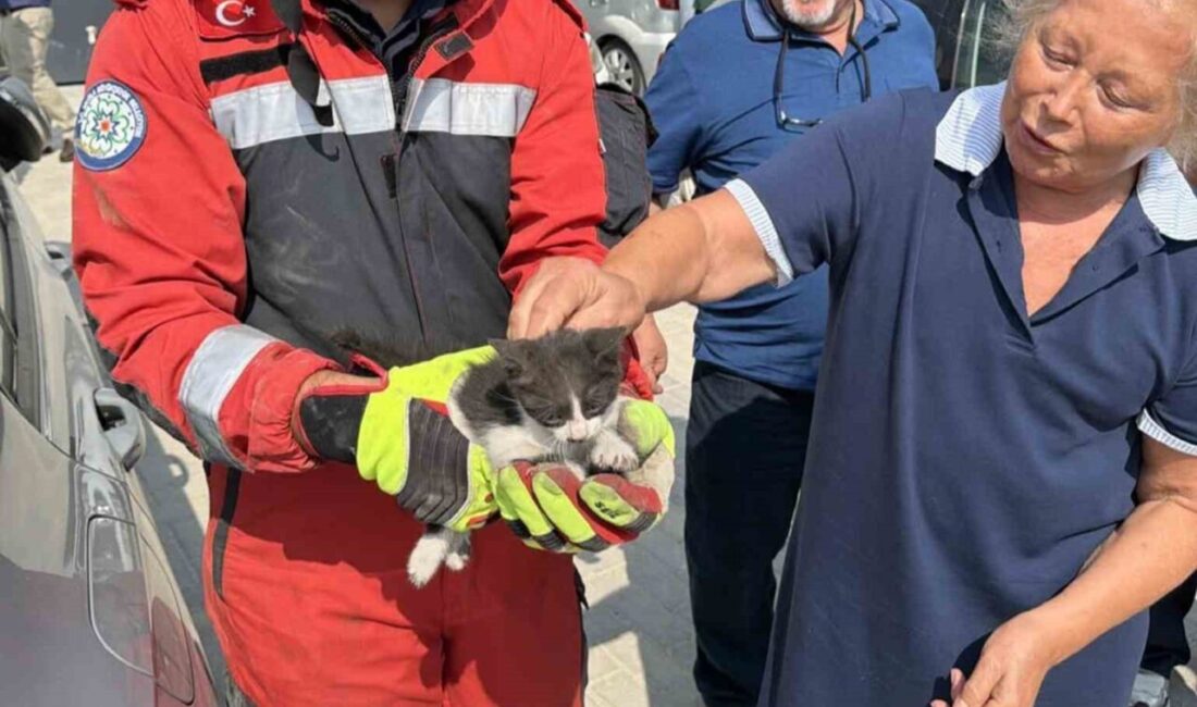 Muğla’nın Menteşe ilçesinde, bir otomobilin motor bölümüne giren ve sıkışan