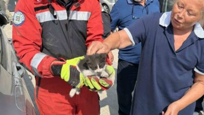 Muğla’nın Menteşe ilçesinde, bir otomobilin motor bölümüne giren ve sıkışan